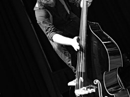 rockabilly 28